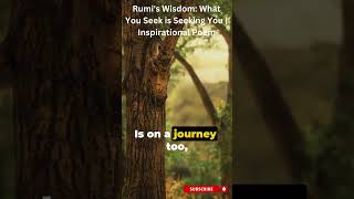 Rumis Wisdom  What You Seek is Seeking You  Inspirational Poem  Letters of Marco poetry poem [upl. by Eylrac]