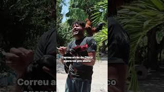 Saruê dando ordem a Chico shortvideo humorista humornacional [upl. by Esojnauj]