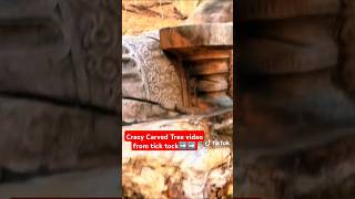 mysterious Ancient Crazy carved oak Tree history who carved it and when [upl. by Eenahpets]