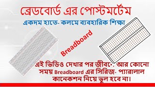 Complete guide for beginners to using a breadboardproject boardনতুনদের জন্য ব্রেড বোর্ড শিক্ষা। [upl. by Aguste]