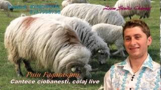 CANTECE CIOBANESTI COLAJ LIVE 2015 PUIU FAGARASANU [upl. by Snapp]