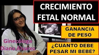 CRECIMIENTO FETAL NORMAL POR GINECOLOGA DIANA ALVAREZ [upl. by Tessil]