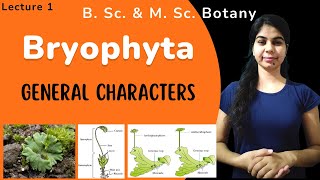 Bryophyta  General characters  in Hindi  Botany  B Sc amp M Sc [upl. by Ieso]