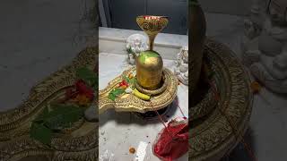 Shivlinga shiv shiva rohini amarnath shorts viralvideo rammandir [upl. by Hewie1]