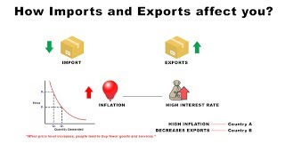 How Imports and Exports Affect You  Economics [upl. by Earej164]