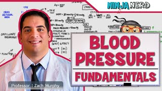 Cardiovascular  Fundamentals of Blood Pressure [upl. by Alaehs]