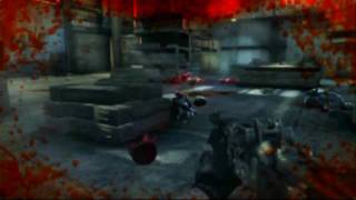 Epic Killzone 2 headshot [upl. by Notnirt]