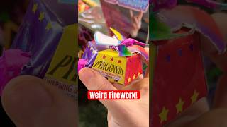 What does this Firework Do experiment fireworks shorts [upl. by Nylrahc233]