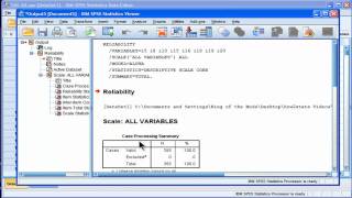 Cronbachs Alpha  SPSS part 1 [upl. by Akeimahs]