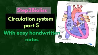 Circulation system l part 5 l with easy handwritten notes biology [upl. by Fenton]