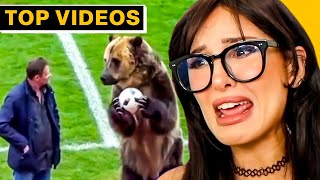 Weirdest Things That Only Exist In  SSSniperWolf [upl. by Bridgette]