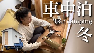 【冬の車中泊】小さな自作キャンピングカーで女ひとり孤独なバンライフ【DIY軽トラックキャンピングカー】 [upl. by Sudhir]