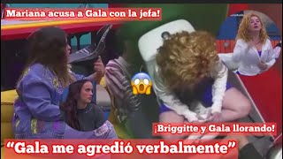 ¡Mariana acusa a Gala con la jefa  “Gala me agredió verbalmente”  ¡Briggitte y Gala llorando [upl. by Thorsten755]