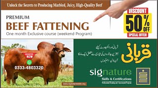 some clips from Qurbani Beef Fattening course [upl. by Moffat]