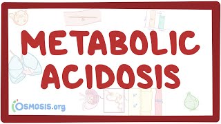 Metabolic acidosis  causes symptoms diagnosis treatment pathology [upl. by Nyraf558]