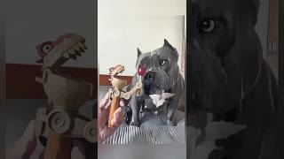 This dog bites people NOT dog dogshorts americanbully americanbullie pocketbully [upl. by Morie]