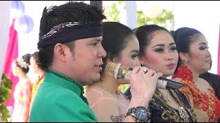 Langgam Jawa Paling Joss Sindene Ayu Mlenuk Kabeh Sedap Dipandang  Dimas Tedjo Campursari Revansa [upl. by Yenal835]