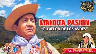 Picaflor de los Andes  MALDITA PASIÓN 🎶😢 [upl. by Amalbergas]