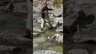 Trout angling Baha lake gilgitbaltistan reels landscape shortvideo shorts share foryou [upl. by Neibart735]