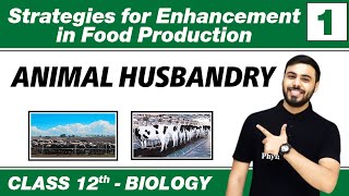 Strategies for Enhancement in Food Production 01 Animal Husbandry  Class 12 NCERT [upl. by Lithea]