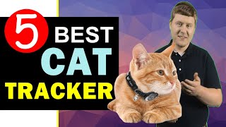 Best Cat Tracker 2024 🏆 Top 5 Best Cat Tracker Reviews [upl. by Dosh]