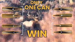 Ten Greatest Elk Cartridges Voted By You [upl. by Wichern]