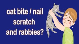 Cat bitenail scratch amp Rabies  Do u need to worry  Bite treatment  Causes Symptoms amp Treatment [upl. by Badr111]