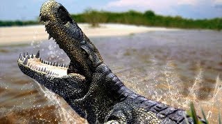 Purussaurus  The Biggest Crocodile That Ever Existed  Documentary EnglishHD [upl. by Nad]