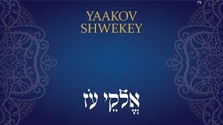 אלוקי עוז  שוואקי  SHWEKEY  Elokei Oz [upl. by Motch]