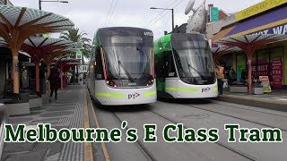 Melbournes E Class Tram [upl. by Raines]