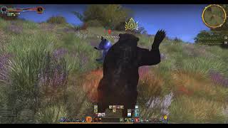 Lotro legendary server 64bit Beorning Pt 4 [upl. by Ayotl831]