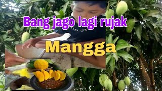 Preman kampung lagi ngerujak mangga [upl. by Zabrina]