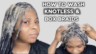 How To Wash Knotless Braids amp Box Braids NO FRIZZ [upl. by Anoli406]