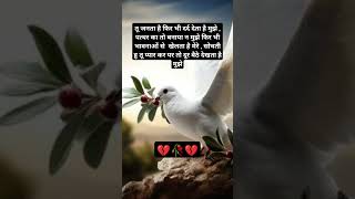 Sajjan raazi song love 🩷 [upl. by Chipman221]