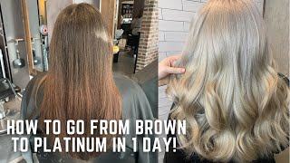 How to go from Brown to Platinum in one day  color correction tutorial transformation demi hair dye [upl. by Cullie]