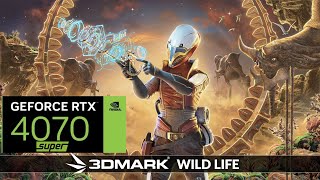 3DMark Wild Life Extreme RTX 4070 Super  i5 13600k  Benchmark [upl. by Steve]