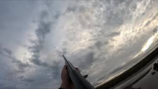 Wildfowling afternoon Flight for Wigeon and Teal using Gamebore Super Steel 32g 4s [upl. by Drofyar]