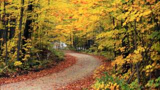 Yiruma 이루마  Autumn Scene HD [upl. by Deacon]