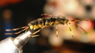 How to tie a Two Tone Golden Stonefly Nymph [upl. by Eenot765]