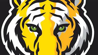 DePauw Tigers Live Stream Test [upl. by Ahsatak]