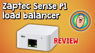 Zaptec Sense P1 load balancer  review [upl. by Osric]