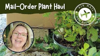 Unboxing a Plant Haul from GreatGardenPlantscom  Garden Vlog July 2024 Week 3 [upl. by Arlyn]