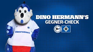 Dino Hermanns GegnerCheck  Arminia Bielefeld  DSCHSV [upl. by Amapuna]