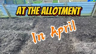 Unveiling Allotment Prep Techniques for 2024allotment vlogss [upl. by Seaman]