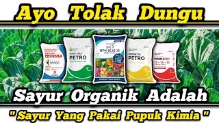 Pakai Pupuk Kimia Sintetis Untuk Sayuran amp Buah‼️Sayur Tetap Organik ✅ Tidak Ada Pupuk KimiaOrganik [upl. by Anniram]