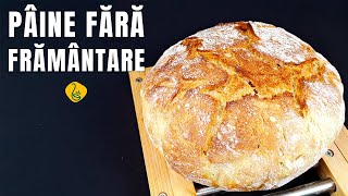 Painea lenesului  paine de casa fara framantare  cea ma ieftina si rapida paine [upl. by Anoval]