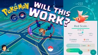 WILL THIS WORK  POKEMON GO  222 CP MAGIKARP EVOLVES INTO A INSANE GYARADOS [upl. by Eeimaj952]