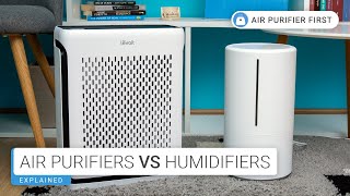 Air Purifiers Vs Humidifiers What’s Best for You [upl. by Vas]