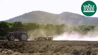 Stehly Farms Organics  Values Matter  Whole Foods Market [upl. by Adnuahsal]