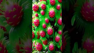 fast easy method for planting and growing dragon fruit trees 99 successful gardening [upl. by Macnair848]